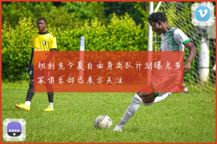 切利克今夏自由身离队计划曝光多家俱乐部已表示关注
